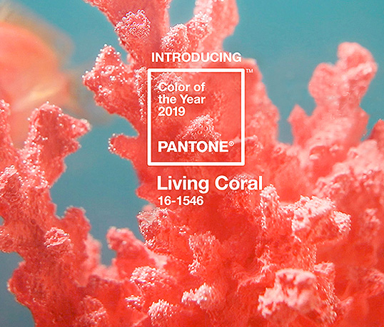 La couleur de l'année 2019 - Living Coral
